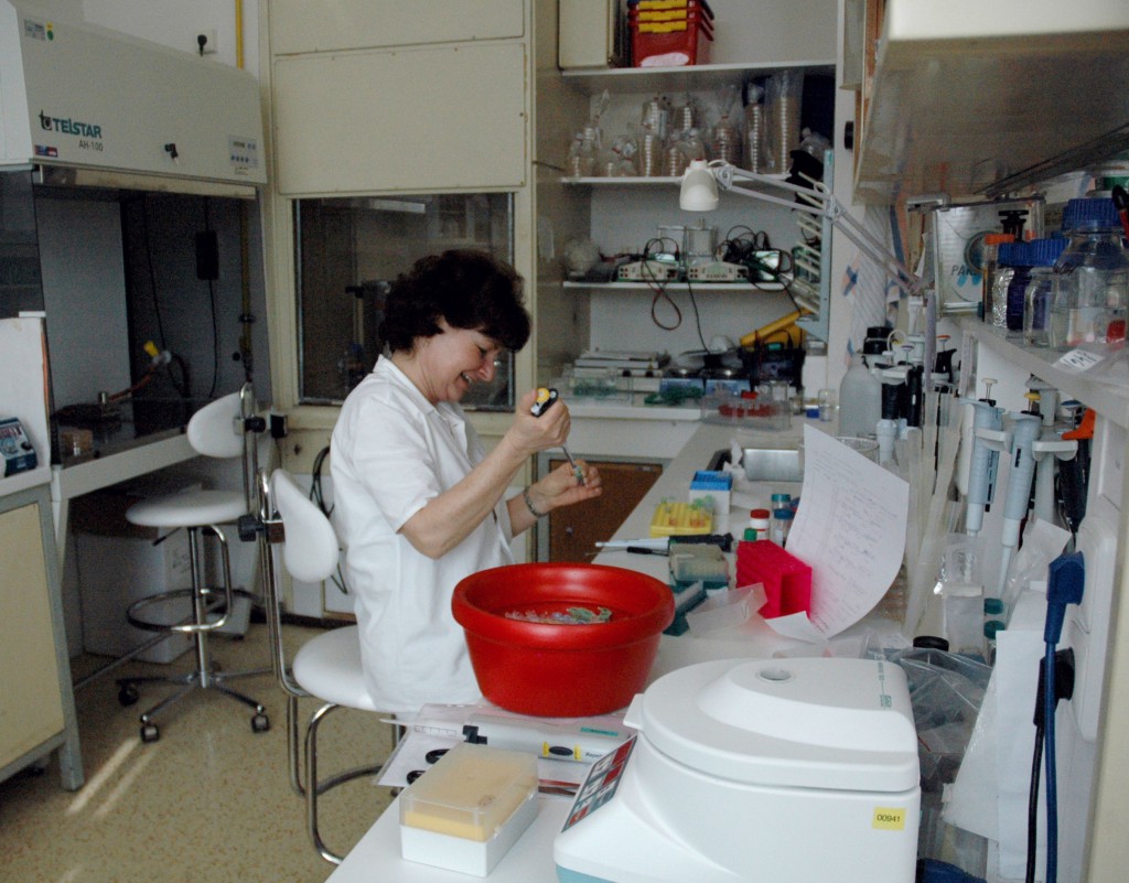 Institute of Microbiology, sample preparation