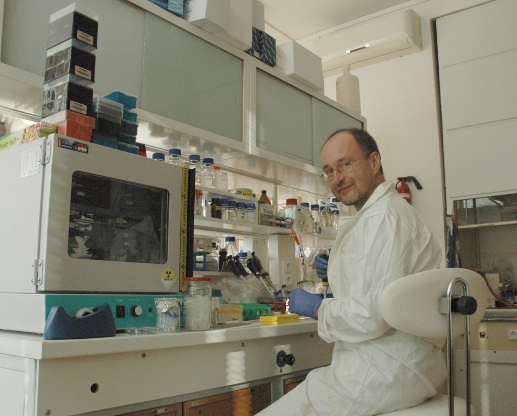 Institute of Microbiology, northern blot hybridization