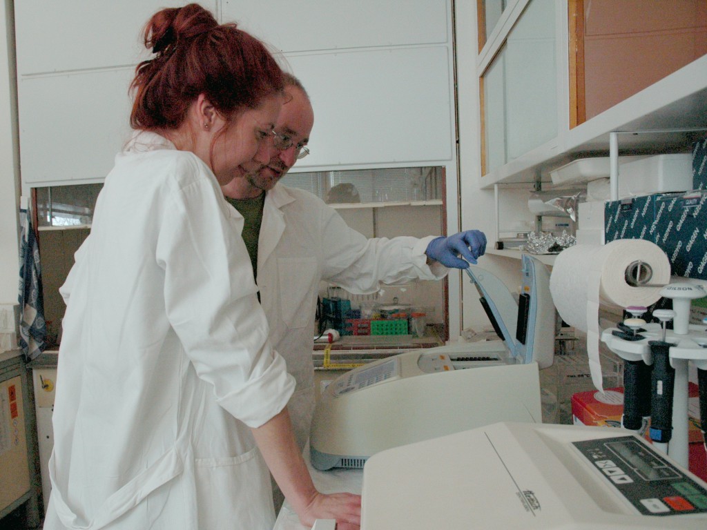 Institute of Microbiology, PCR experiments