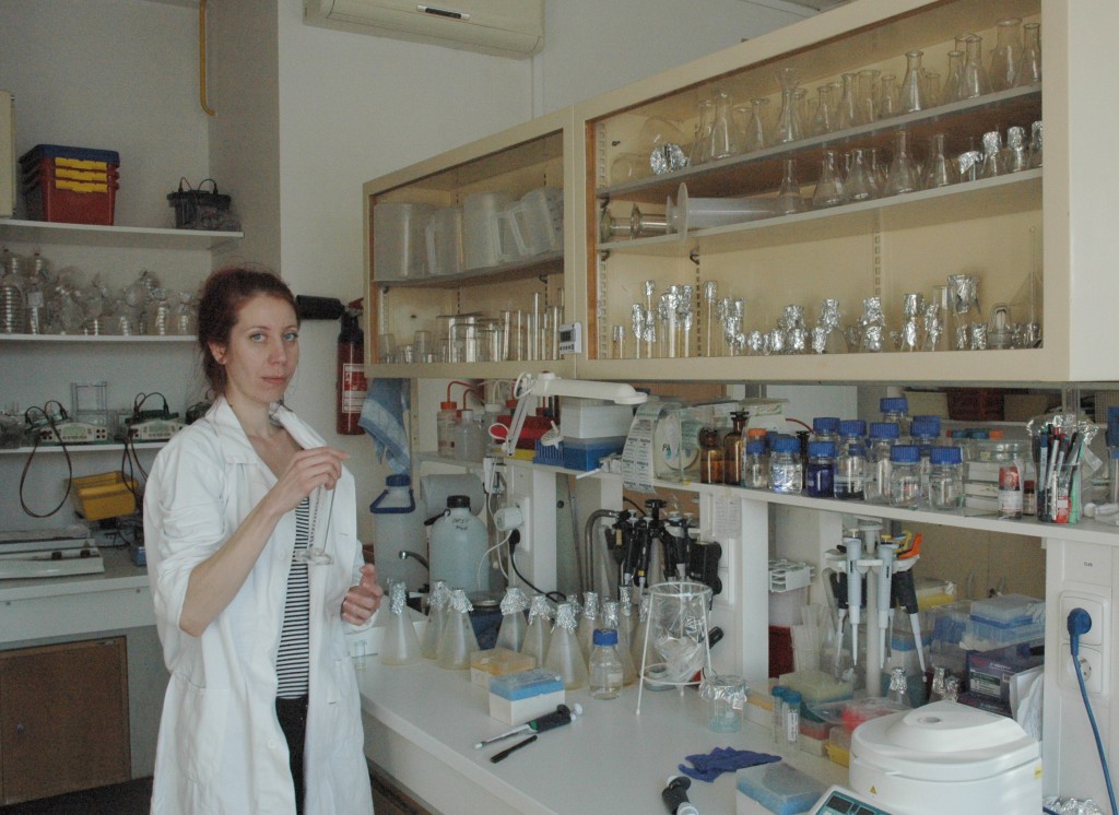 Institute of Microbiology, cultivation of yeast clones for genomic DNA extraction