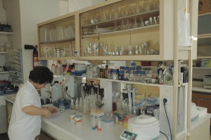 Laboratory at the Institute of Microbiology, CAS CZ