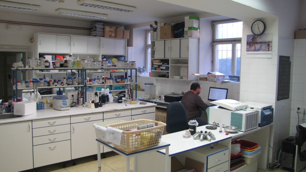 Laboratory at the Faculty of Science, Prague